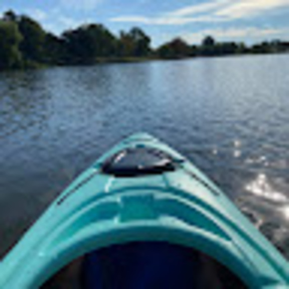 Meet your Posher, Tina - Picture 1 of 1